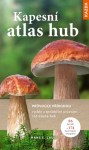 atlas-hub
