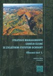 strategie-managementu
